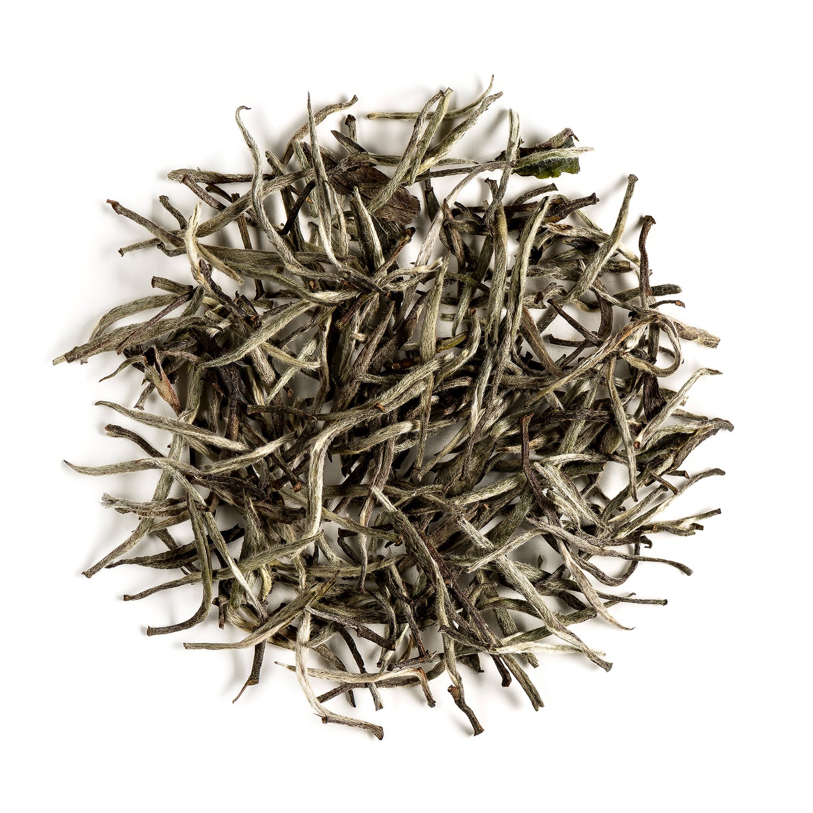 Silver Needle Pure 15g