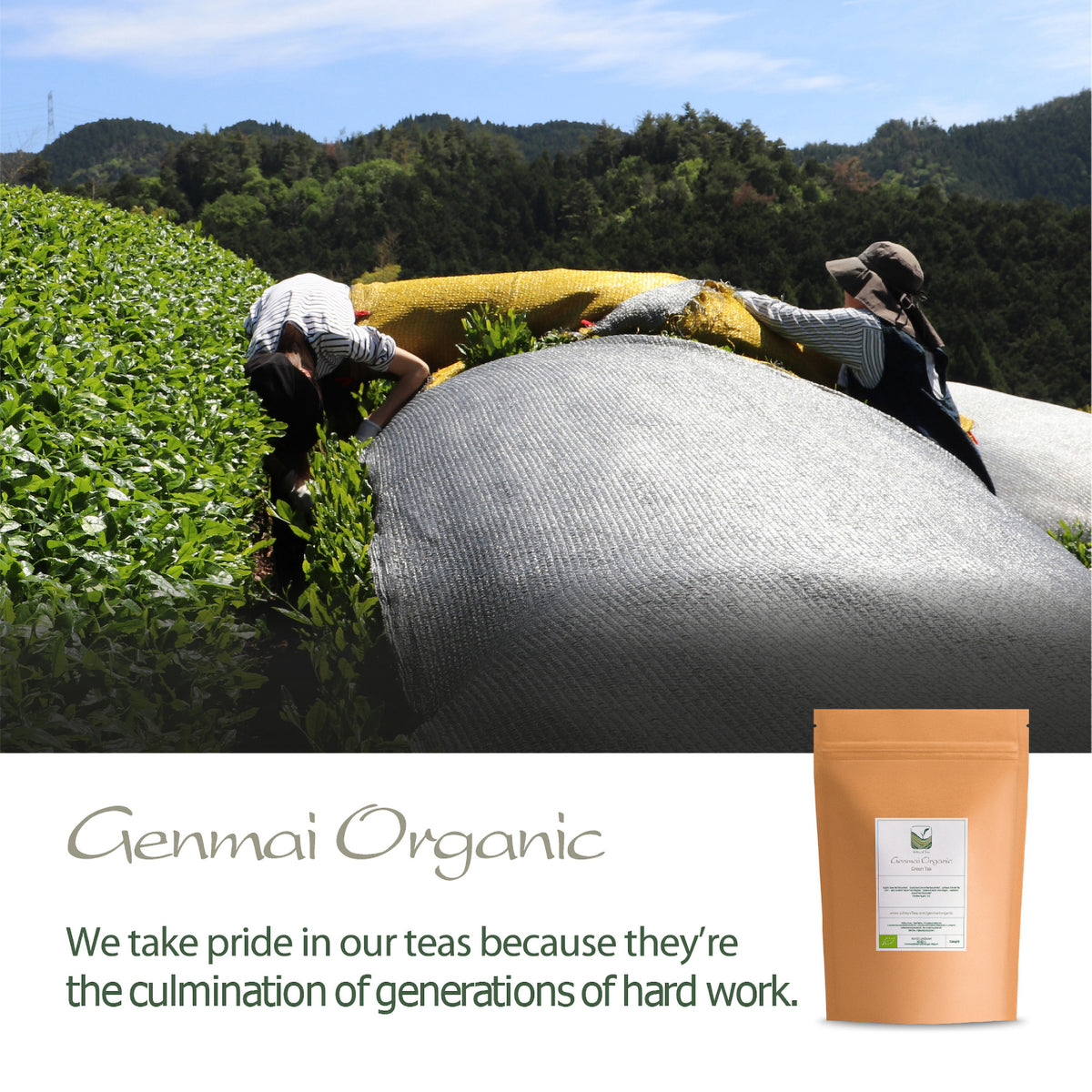 Genmai Organic