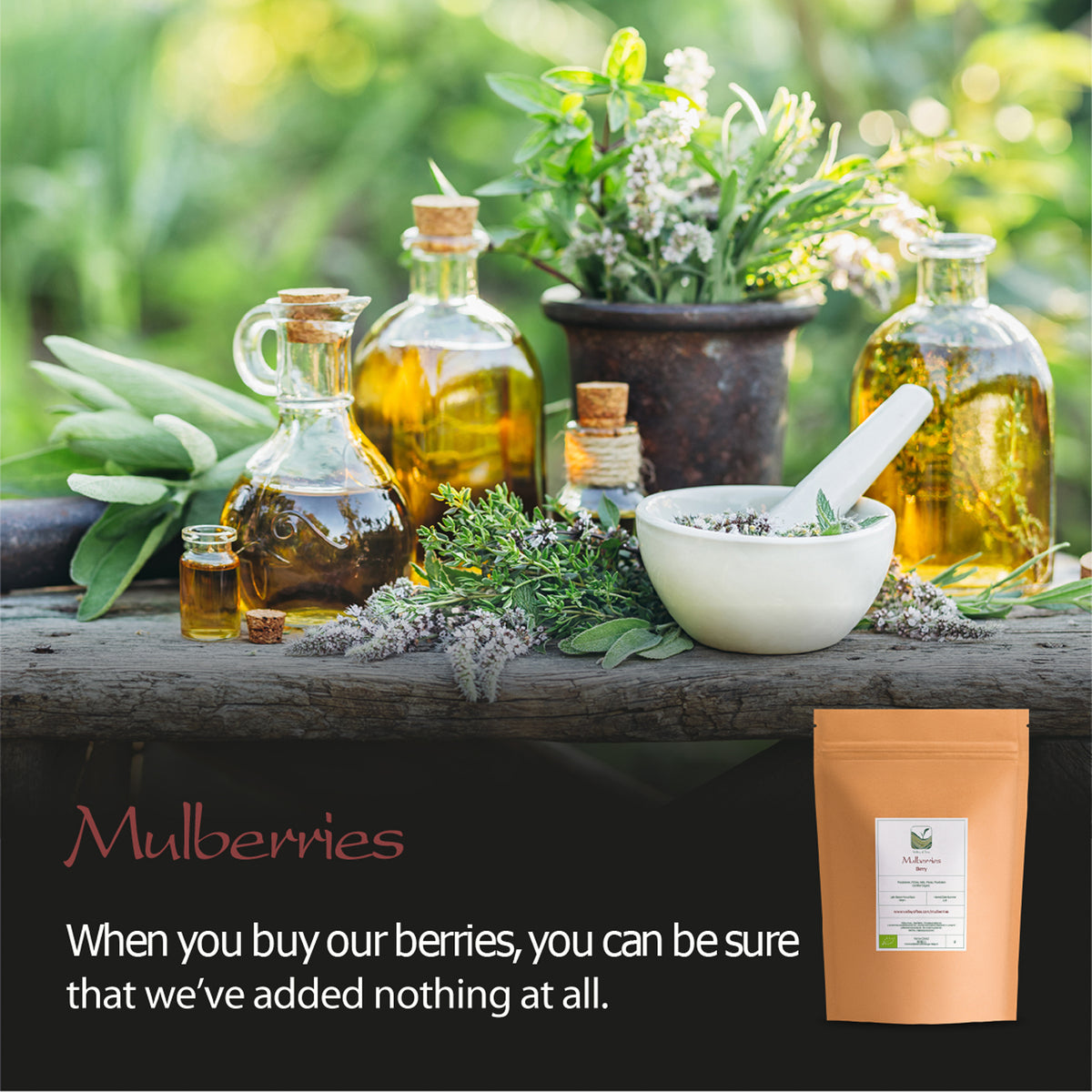 Whole Dried Mulberries Organic - Dried Mulberry