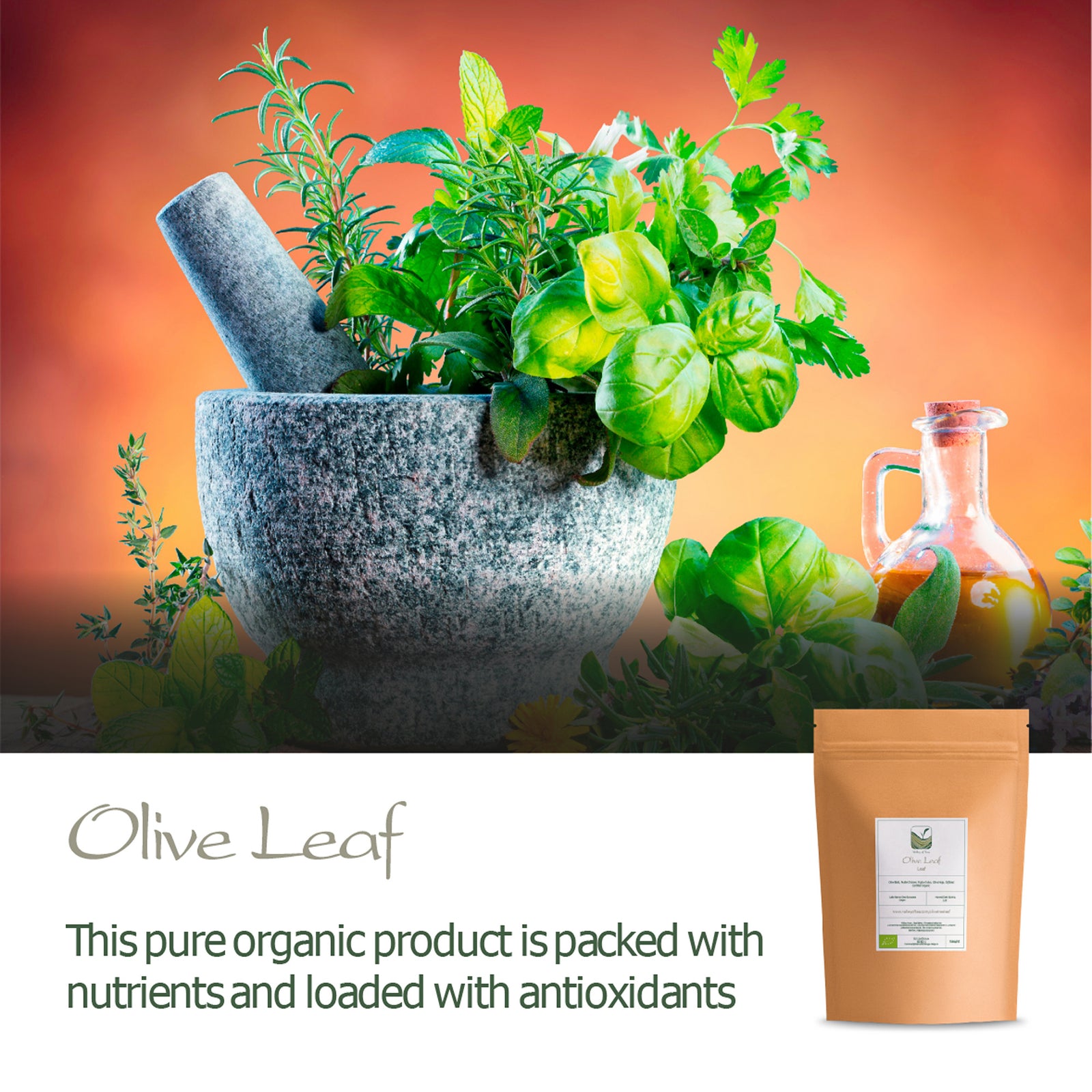Olive Leaf 100g