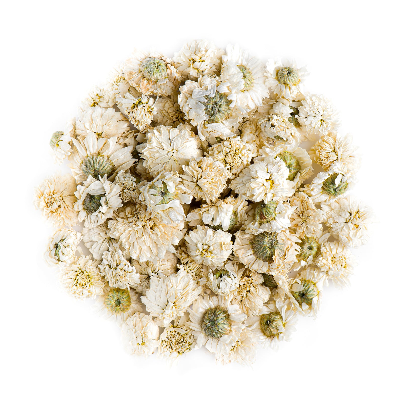 Roman Chamomile 20g