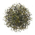 Tè verde biologico Sencha Giappone - Fattoria artigianale - Sen Ca - 50g