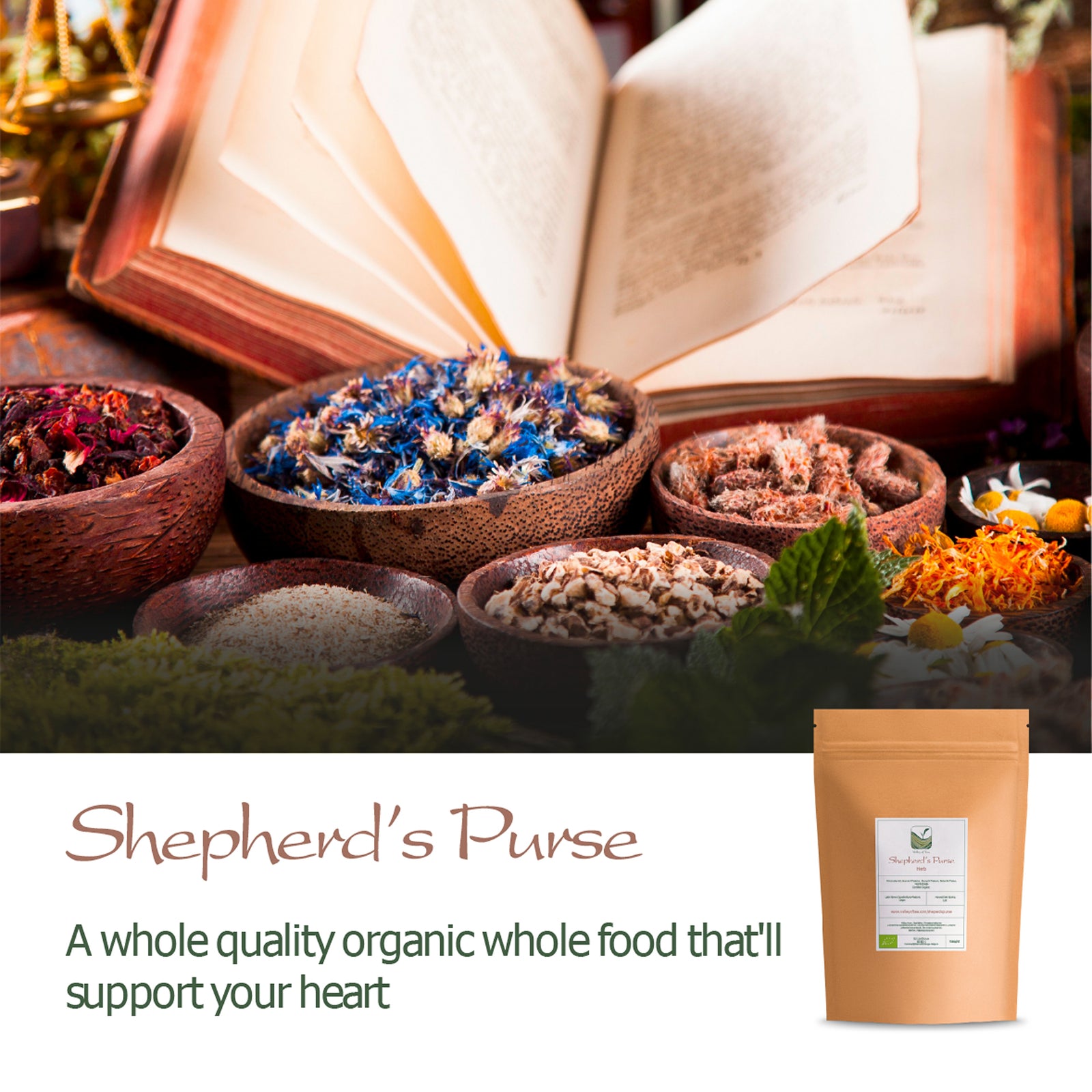 Shepherd's Purse 100g