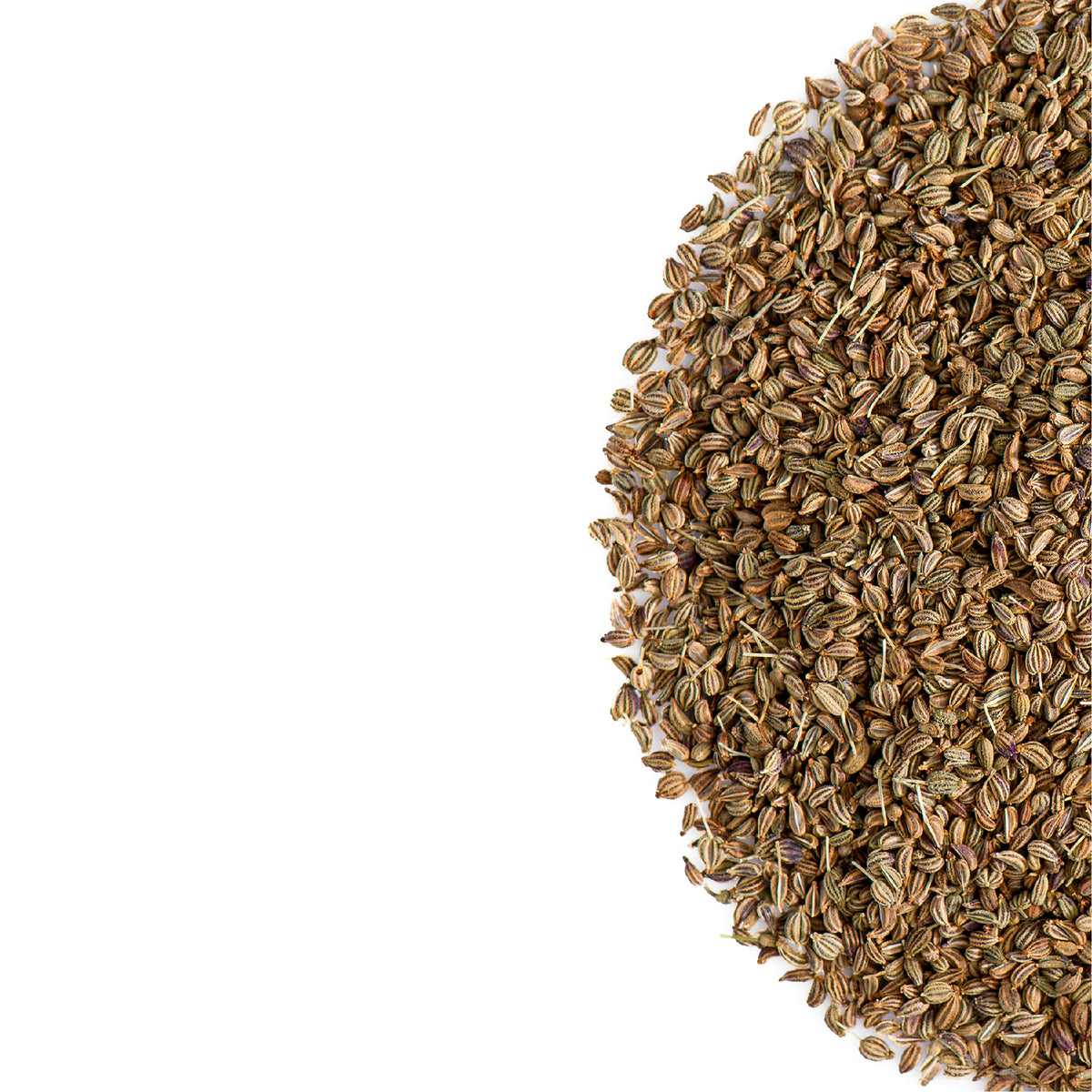 Ajwain Seed