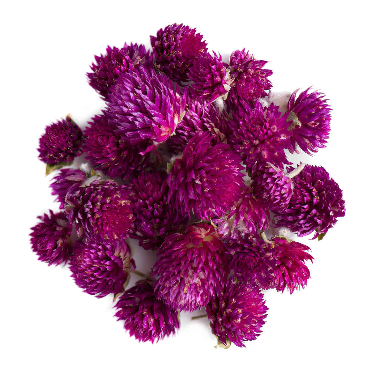 Globe Amaranth Flower 50g