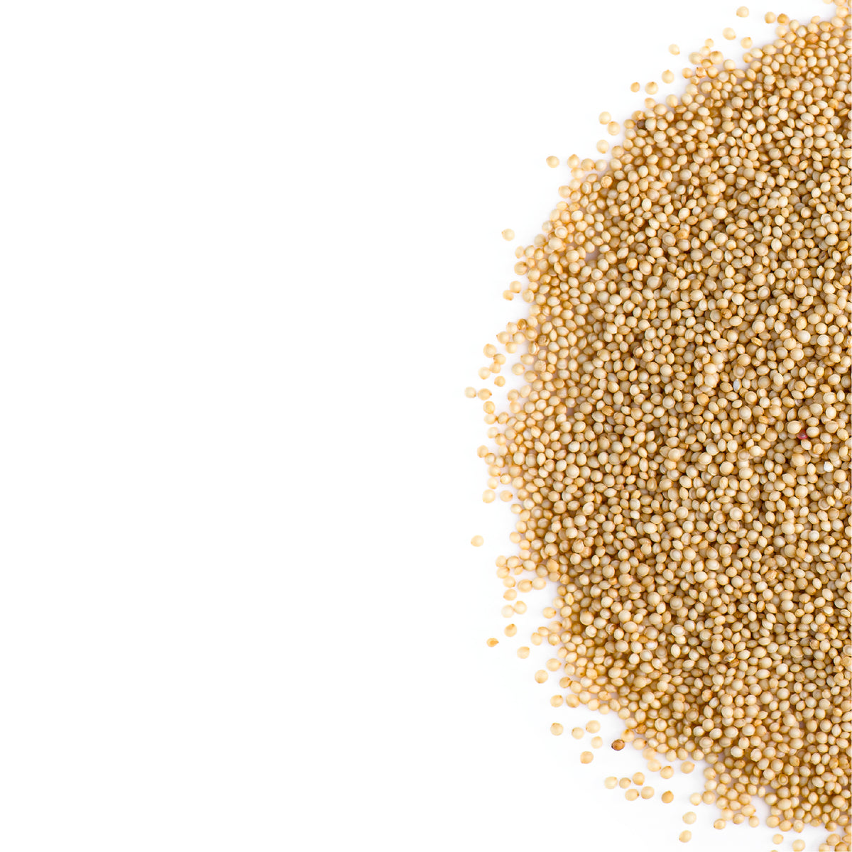 Amaranth Seed