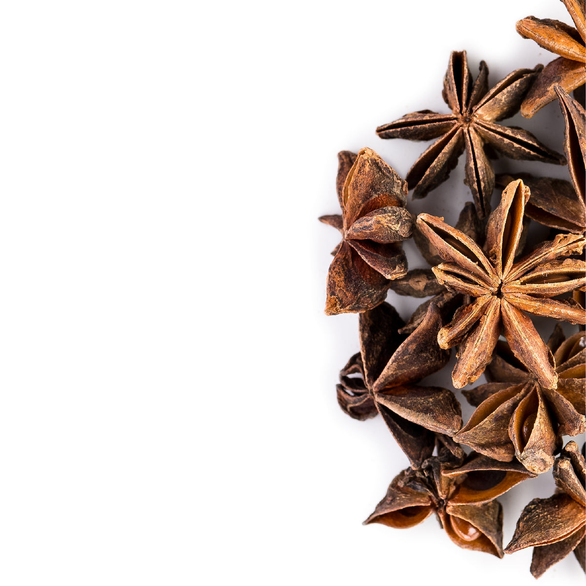 Anise Star