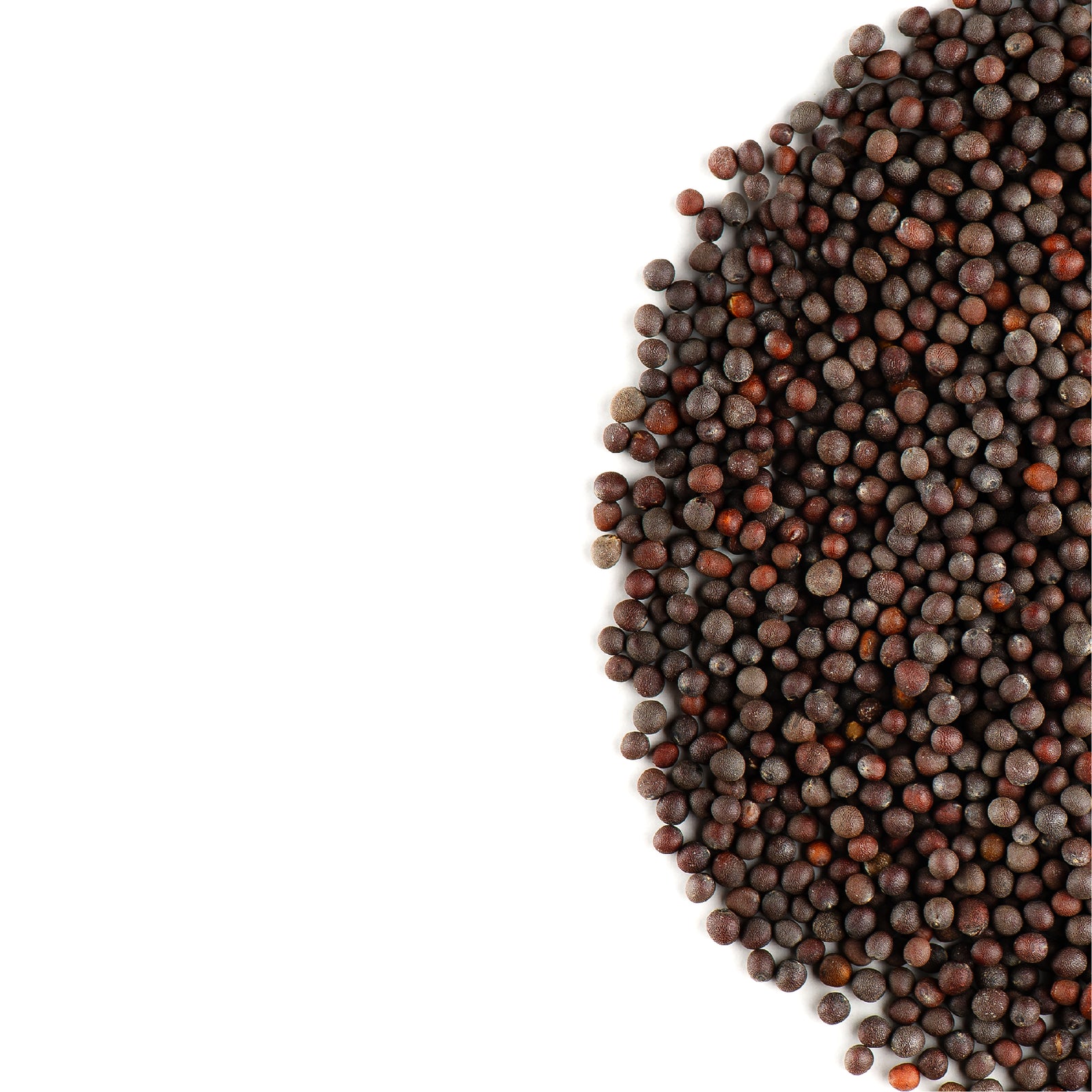 Black Mustard Seed 200g