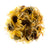 Goudsbloem Calendula Theebloem - Geweldig Voor Desserts - Bloemen Kruiden Thee - Goudsbloemen Infusie 