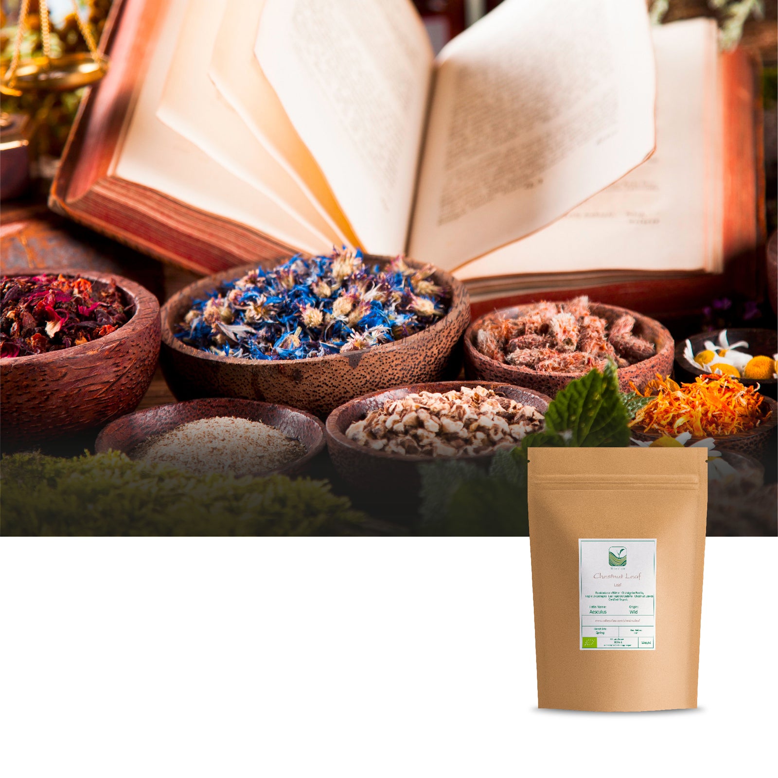Chestnut Leaf 100g
