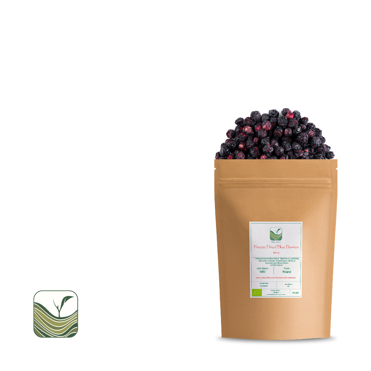 Freeze Dried Blue Berries