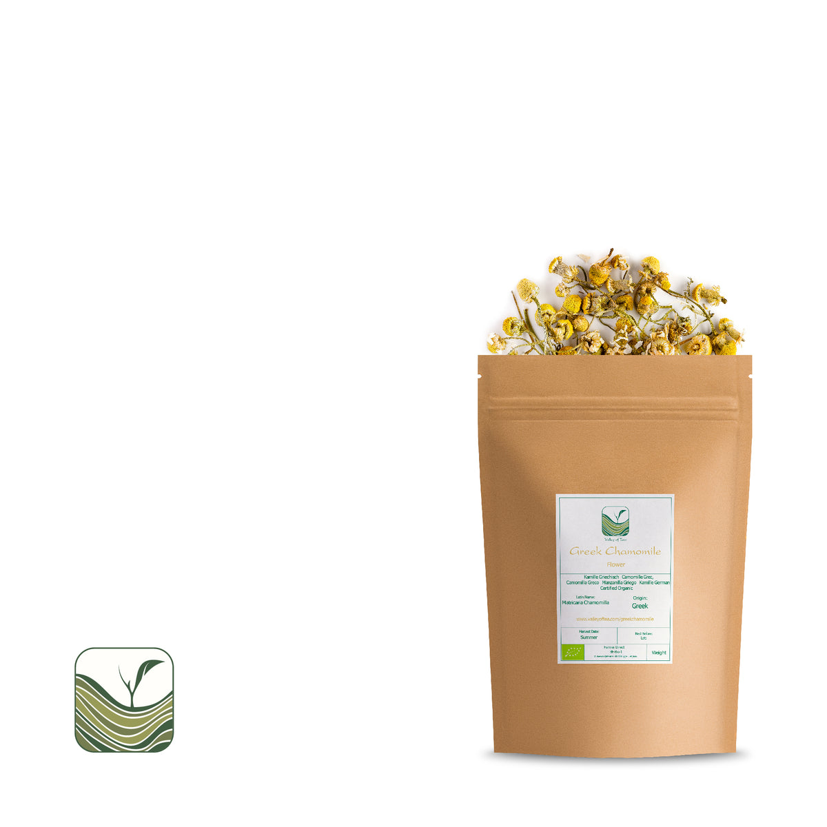 Greek Chamomile