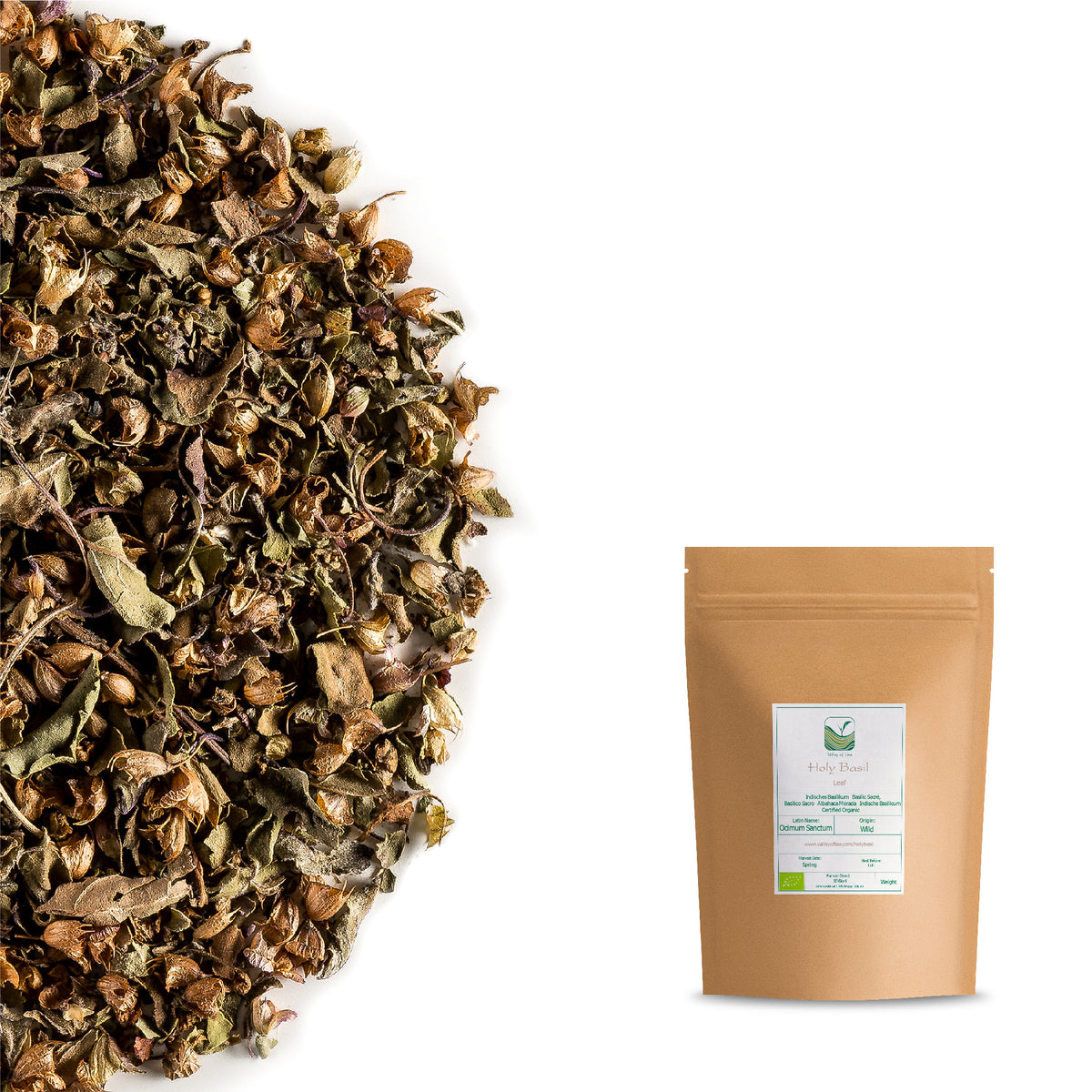 Holy Basil