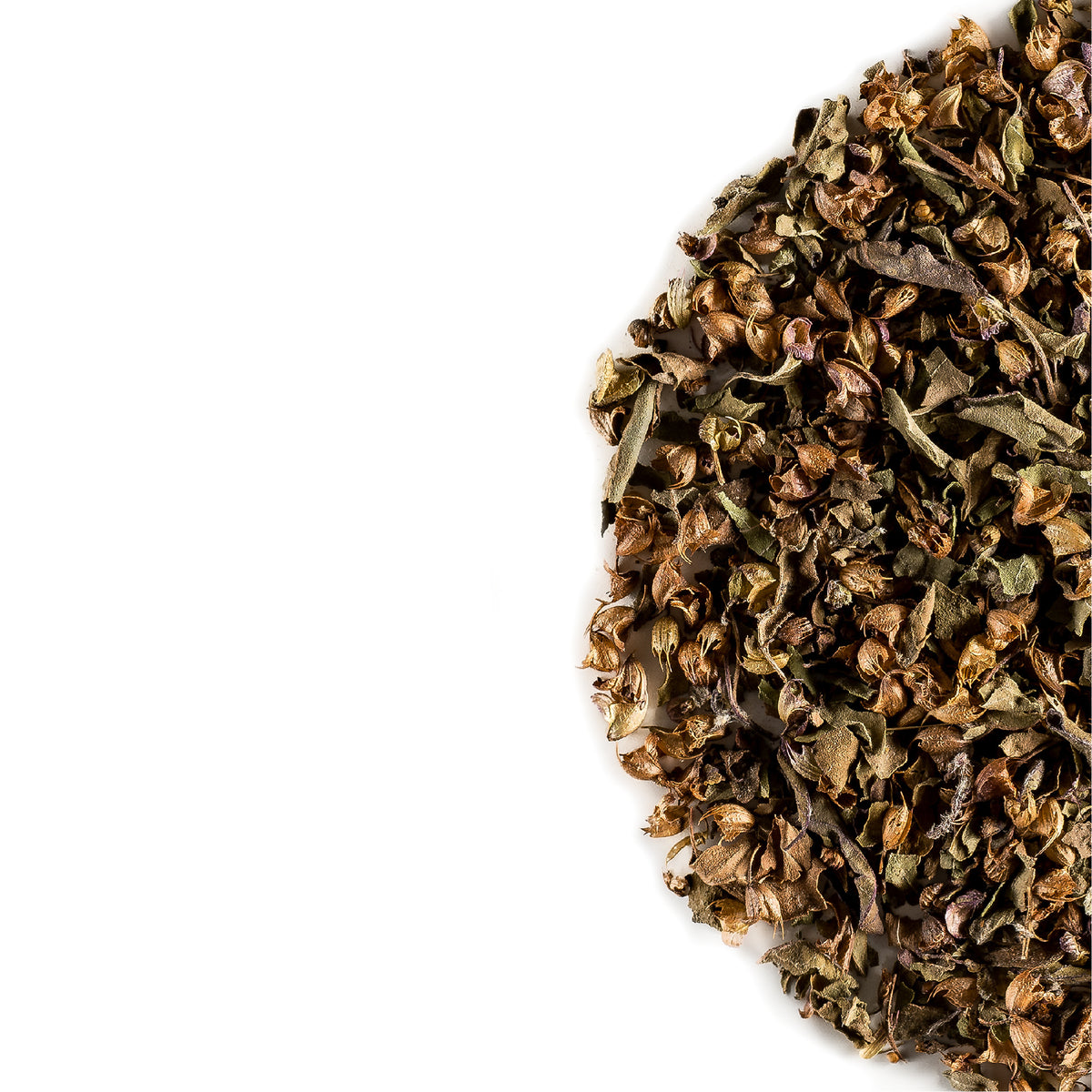 Holy Basil