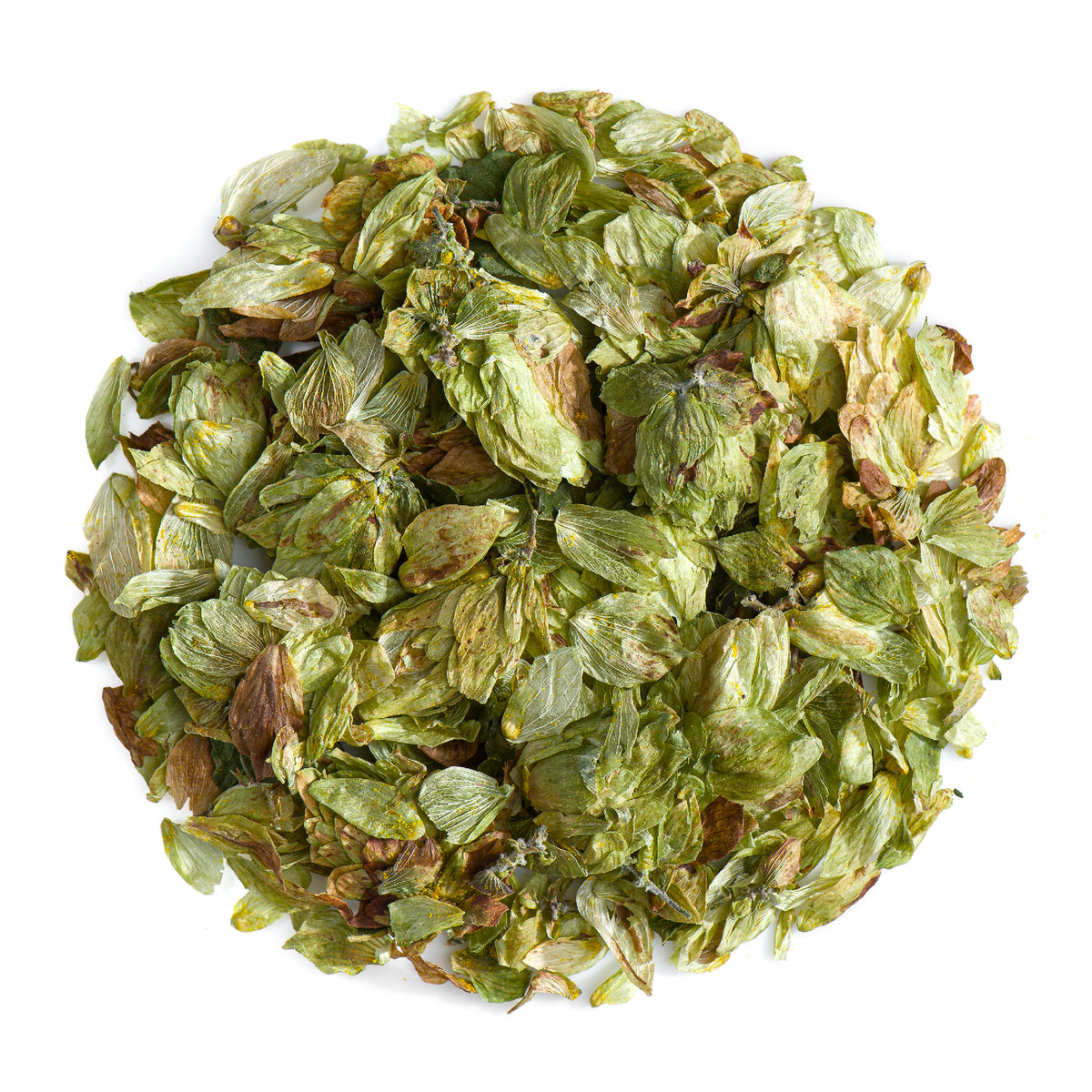 Whole Hop Cone 50g
