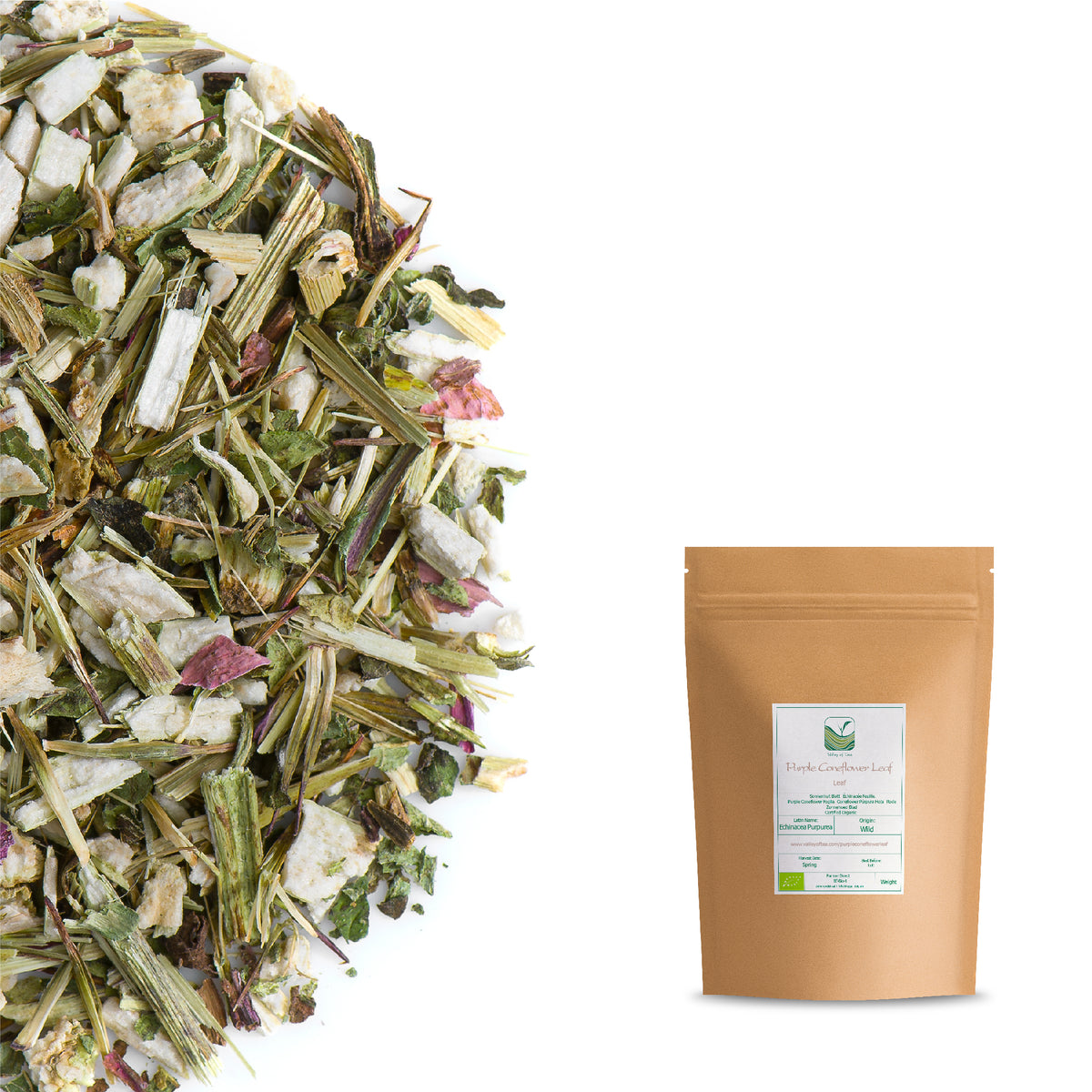 Purple Coneflower Leaf