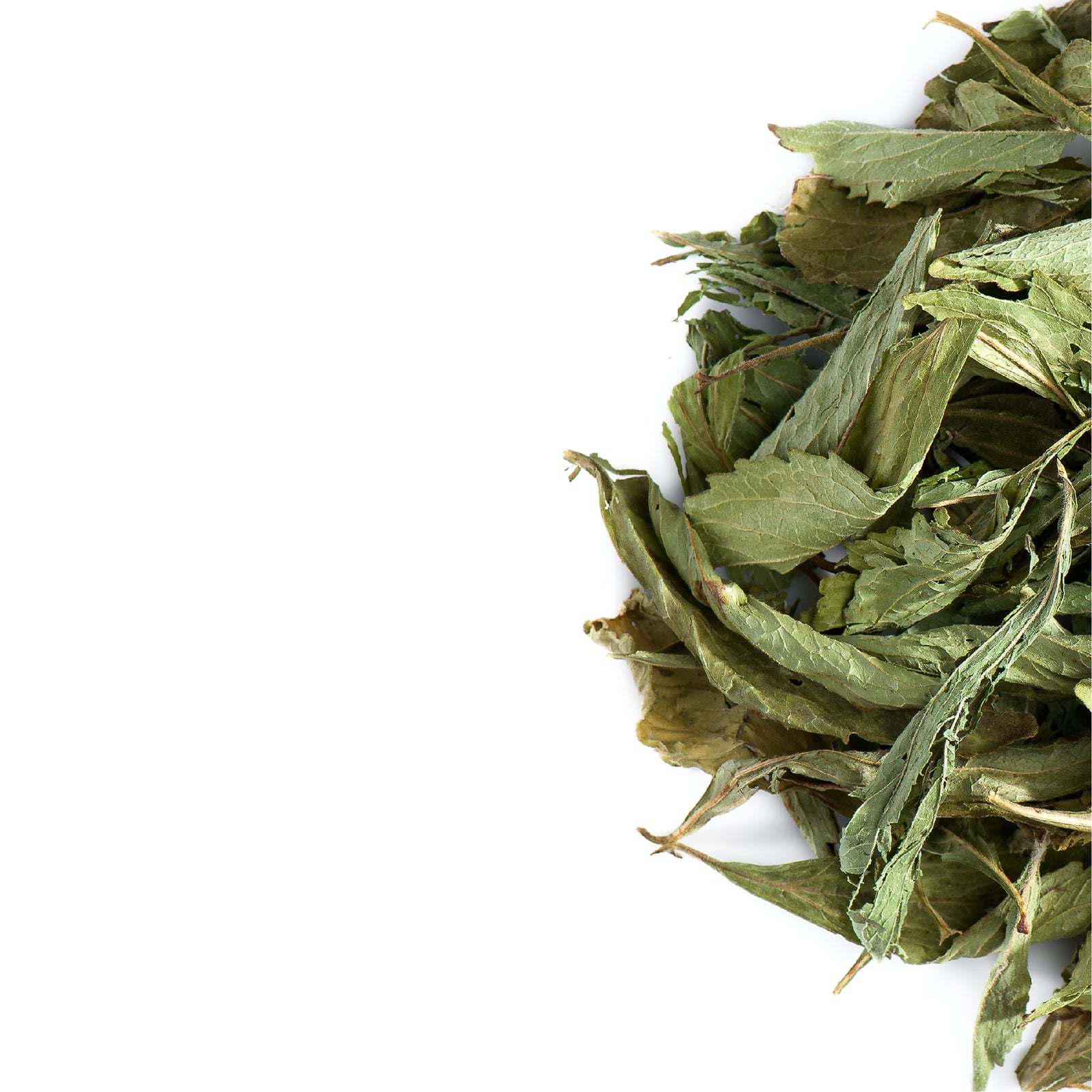 Stevia Leaf 50g