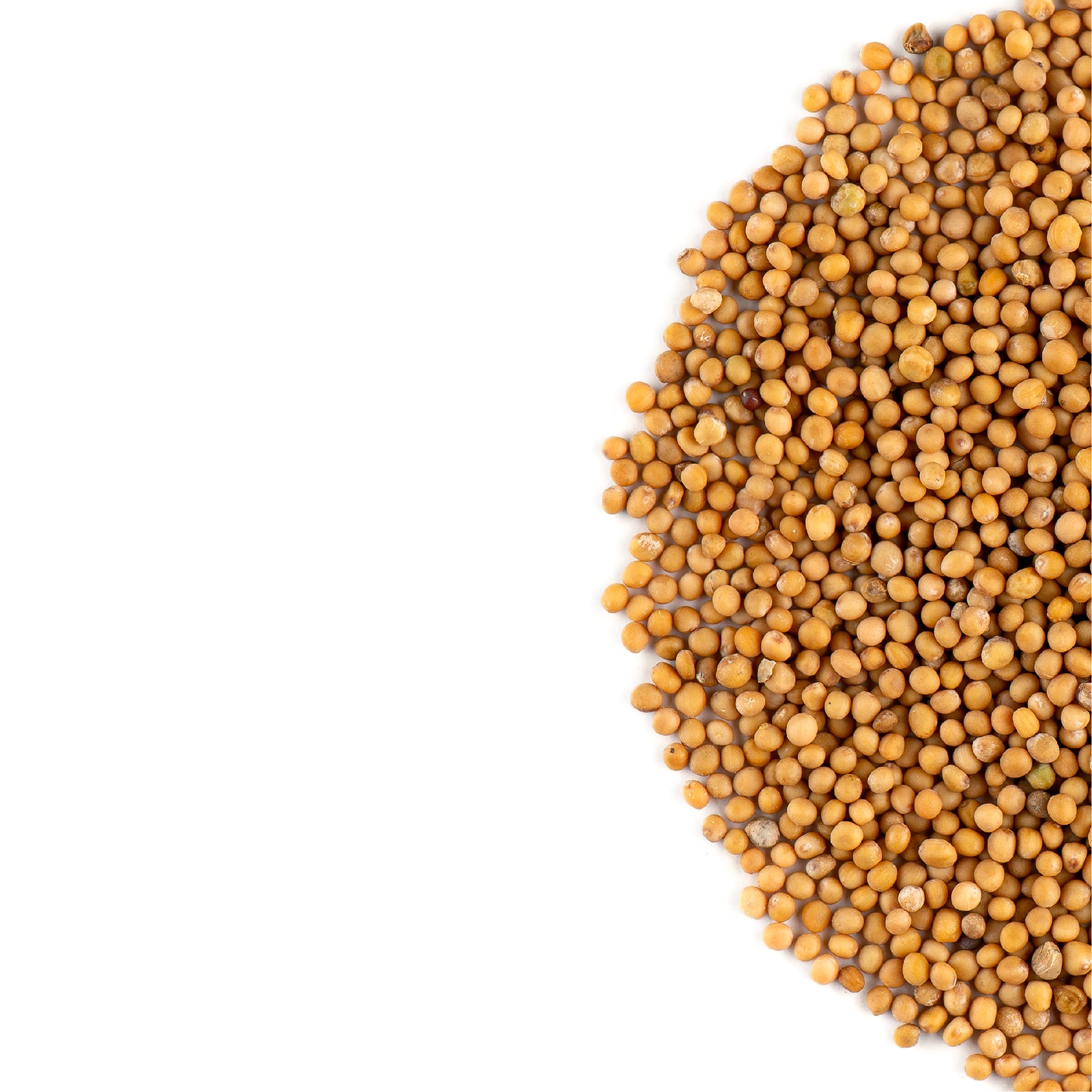 White Mustard Seed 200g